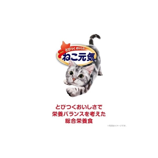 ネコ様 ユニチャーム ねこ元気 【お魚ミックス】まぐろ・かつお・白身魚