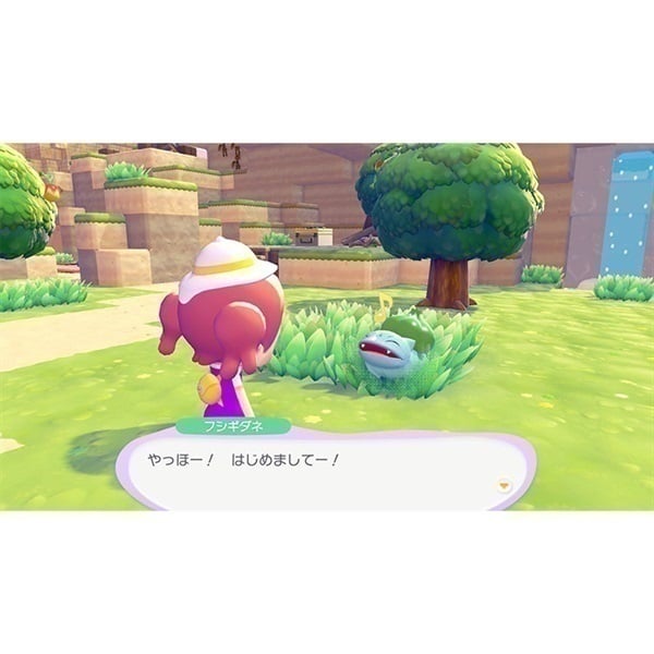 Nintendo Switch 2 ぽこ あ ポケモン お一人さま1点限り 4521329460420