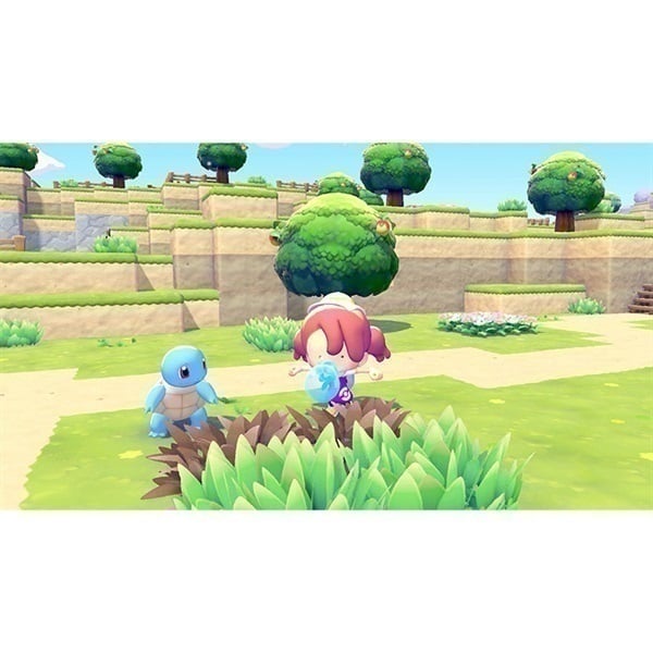 Nintendo Switch 2 ぽこ あ ポケモン お一人さま1点限り 4521329460420
