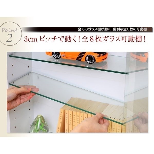 連休限定価格！秋生浅棚パイプ6本セット＆ケースセット！ 20240914-ib256.jpg