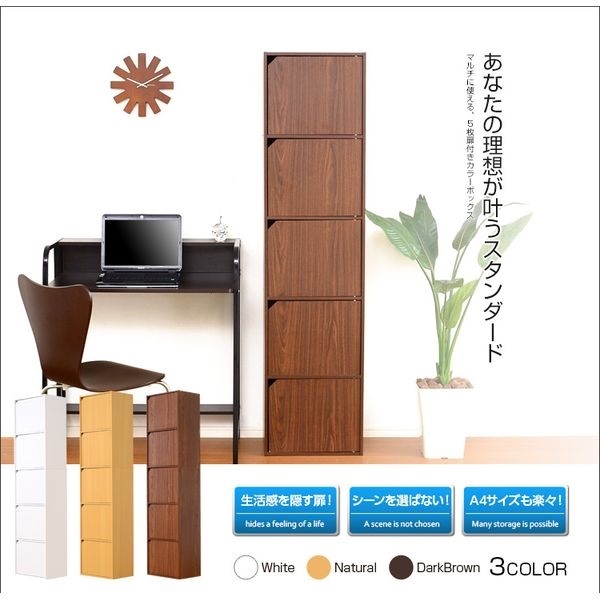 A4サイズ収納OK！扉付きカラーボックス | イオンスタイル