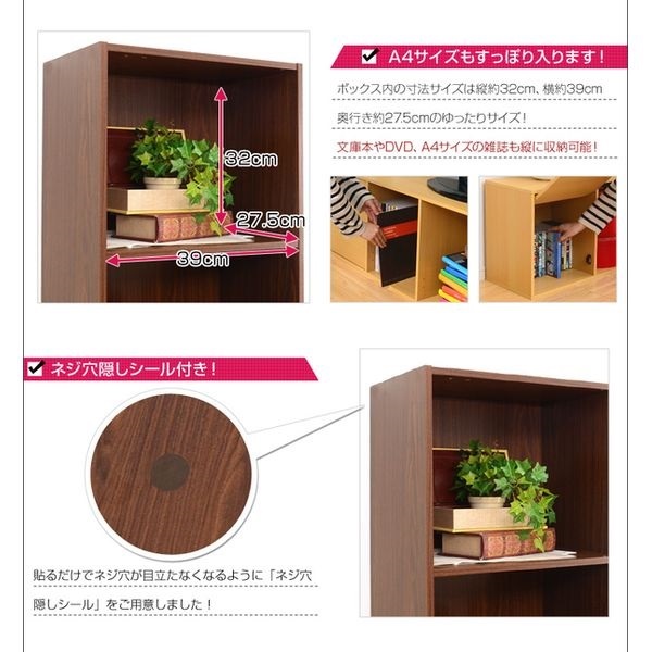 A4サイズ収納OK！扉付きカラーボックス | イオンスタイルオンライン