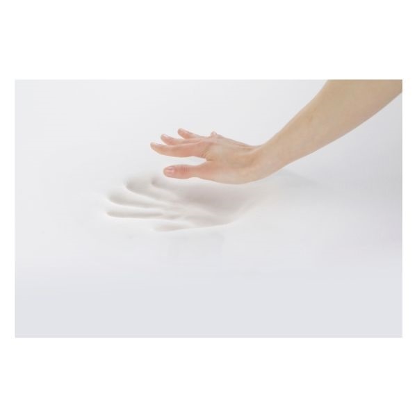 トゥルースリーパー プレミアケア＋低反発座布団セット | イオン