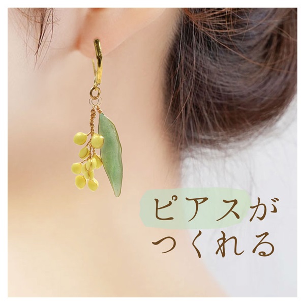 レジンアクセサリーボックス ミモザ | イオンスタイルオンライン 衣料