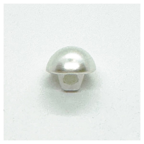 パールボタン PI‐343 #00 | イオンスタイルオンライン 衣料品