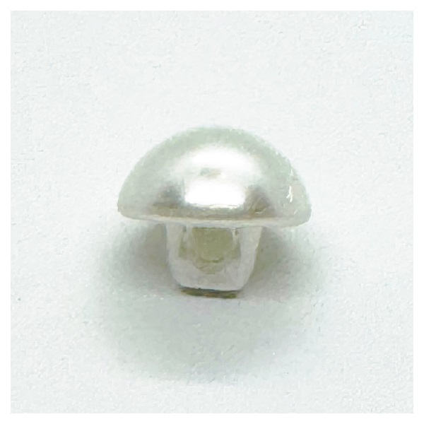 パールボタン PI‐343 #00 | イオンスタイルオンライン 衣料品