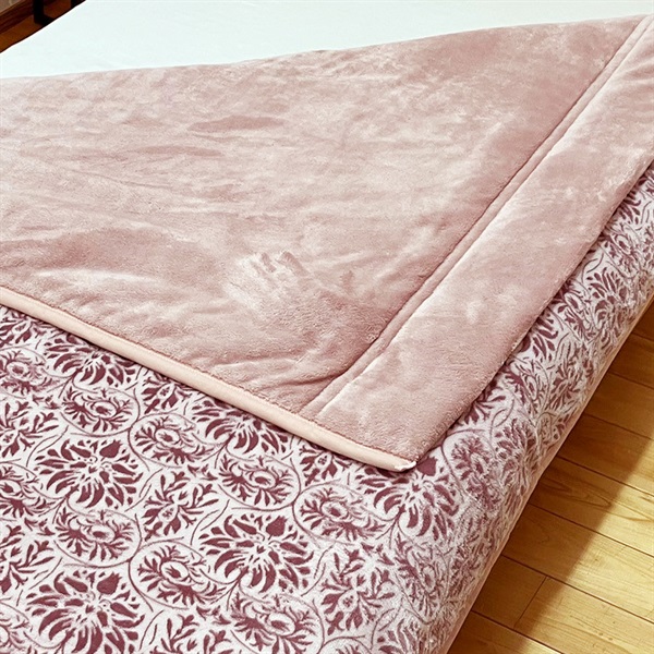 昭和西川 蓄熱・抗菌防臭・吸湿発熱わた入り毛布デコール | イオン