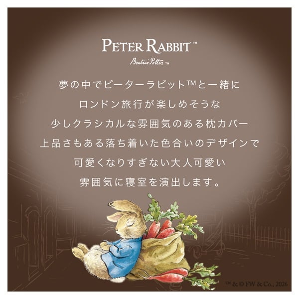 ピロケース 43×63cm ピーターラビット | イオンスタイルオンライン
