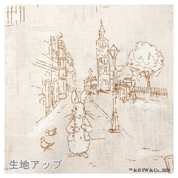 ピロケース 43×63cm ピーターラビット | イオンスタイルオンライン