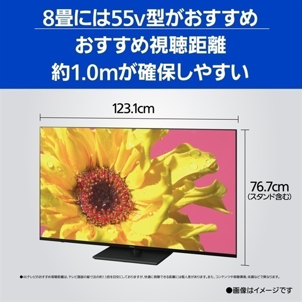 Panasonic TH-L39C60 液晶テレビ 39インチ 説明書 パナソニック