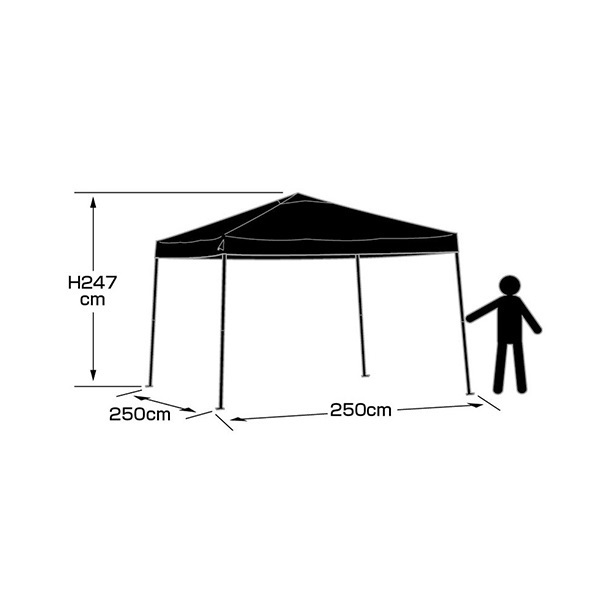 Lycee フリッカ SSP CGC10 ブラックラベル ワンオーナー品 タミヤ RC特別企画商品 1/10RC グラスホッパー ブラック