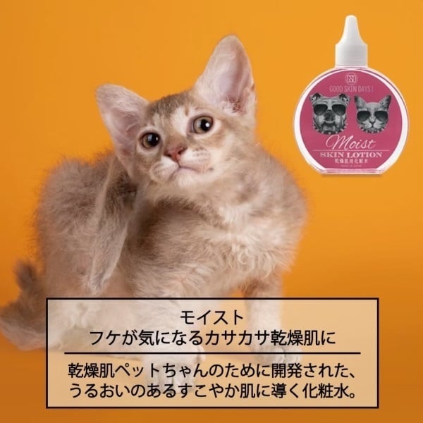 グッドスキンデイズ モイスト フケが気になる カサカサ乾燥肌用 化粧水