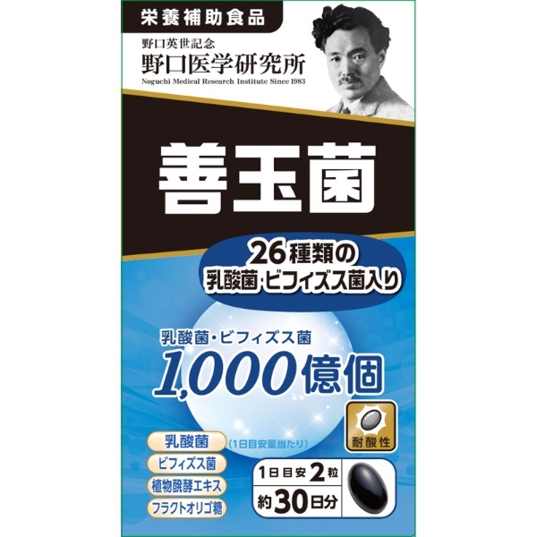 善玉菌 60粒 野口サプリメントシリーズ 野口医学研究所 | イオン
