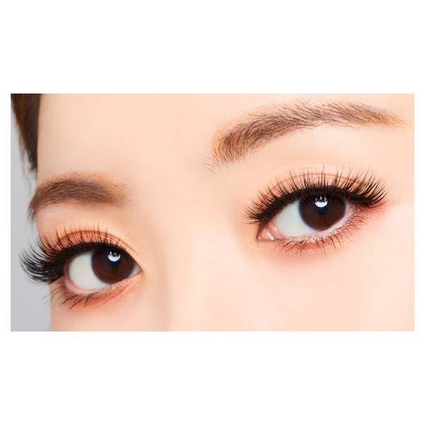 まつ毛エクステ SBY正規代理店【今だけポイント10倍 】3D 1DAYマツエクEYELASH