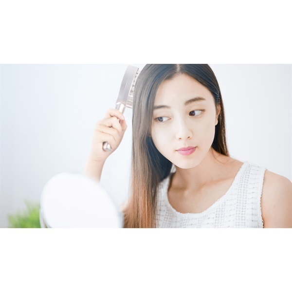 ご予約商品)NIPLUX EMS リフトブラシ NP‐ELB23SV ニップラックス