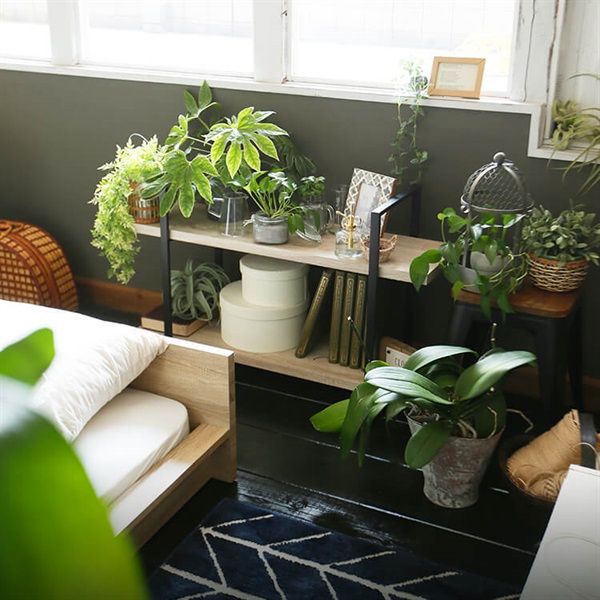 二段シェルフ　ラック　ウォーターヒヤシンス　籐 二段シェルフ ラック ウォーターヒヤシンス 籐