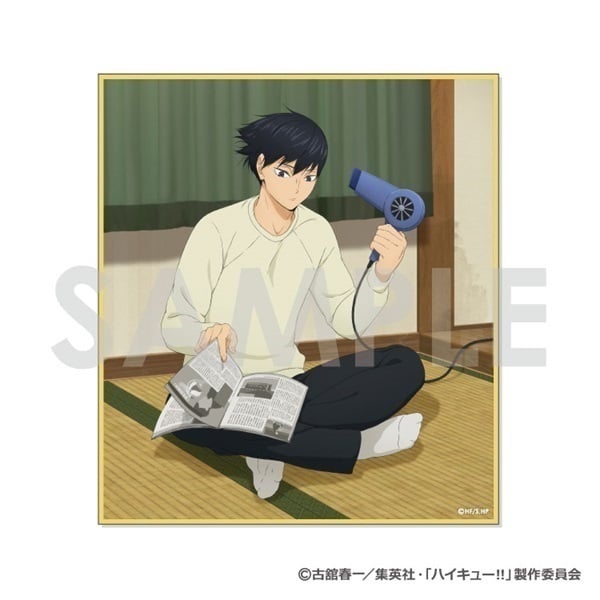 予約 2025年11月上旬発売 【イオン先行】ハイキュー