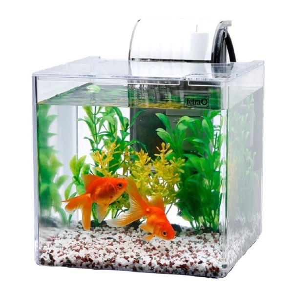 【受注生産】アクアリウム Amazon | LaMignonne 多機能 魚 繁殖隔離ボックス 水槽 孵化