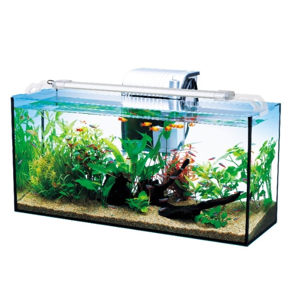テトラ スライドLED 45‐60cm水槽用 1個 Tetra スペクトラム ブランズ