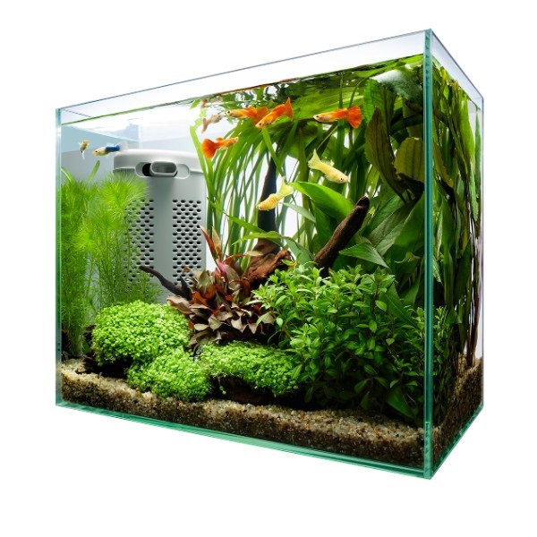 テトラ サイレントフレックスセット 30 1セット Tetra スペクトラム