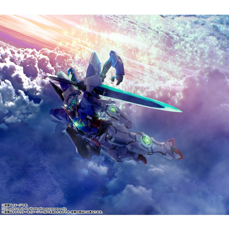 METAL BUILD ガンダムデヴァイズエクシア 4573102634825 お一人