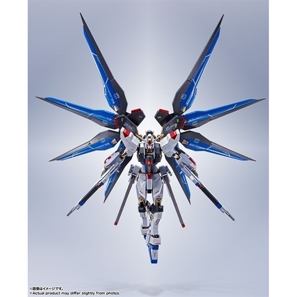 専用出品　ストライクフリーダムパラレル Amazon.co.jp: METAL ROBOT魂 機動戦士ガンダム SEED DESTINY
