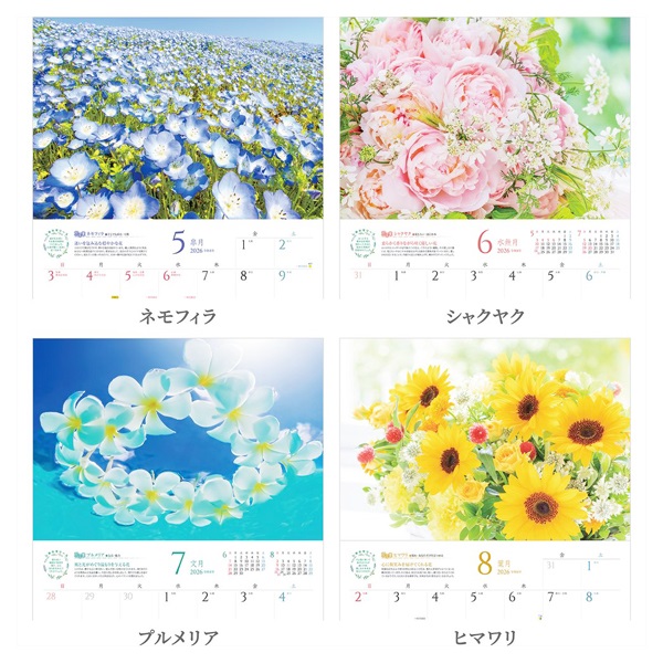 花 2026年】 壁掛けカレンダー しあわせの花風水 | イオンスタイル
