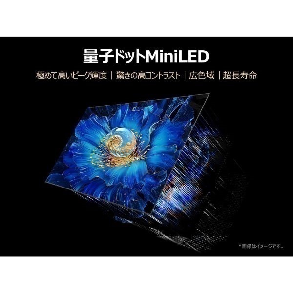 TCL 65V型 4K液晶 倍速 テレビ 量子ドットMiniLED 65QM8B Amazon.co.jp