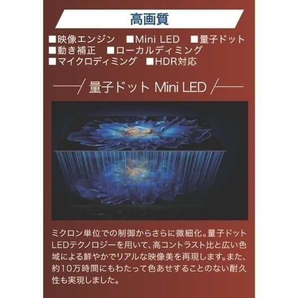 TCL ハイビジョン量子ドット液晶テレビ【玄関先お届け商品】 | イオン