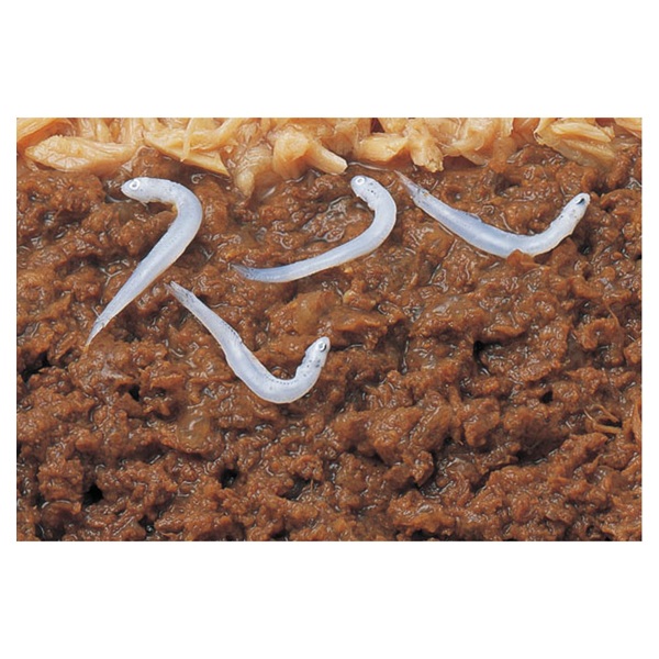 いなば マルウオ まぐろ白身のせ しらす入り 40g いなばペットフード