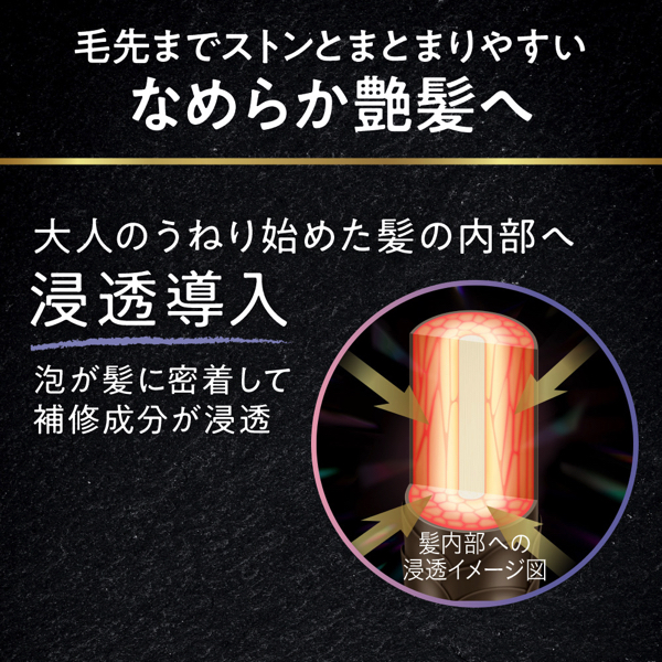 Segreta(セグレタ) プレミアムスパフォームシャンプー 花王 | イオン
