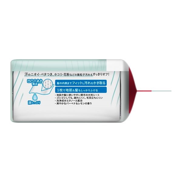 メリット DAY+ ドライシャンプーシート 20枚 メリット merit