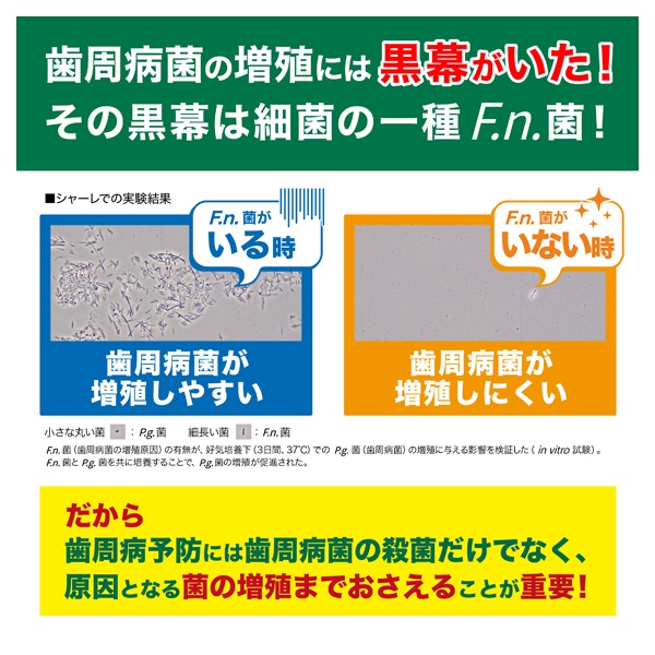 【即日発送】白光糖衣SSR缶 30個 Amazon｜高木金属工業 takagi metal 活性炭カートリッジ 油ろ過