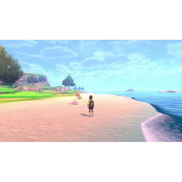 Nintendo Switch ポケットモンスター ソード ＋