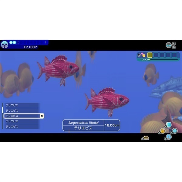 Nintendo Switch フォーエバーブルー ルミナス お一人さま3点