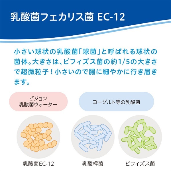 ピジョン 乳酸菌ウォーター 500ml 5ヶ月頃～ ベビー飲料 | イオン