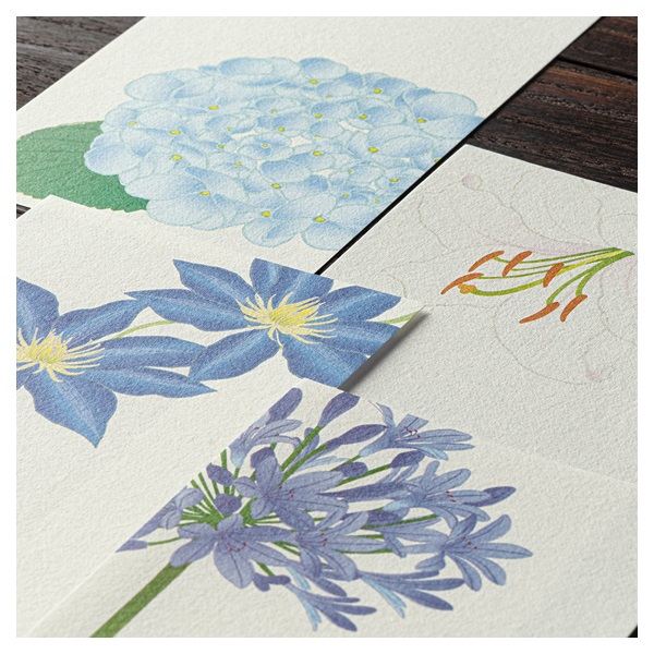 青花 葉形 三足 筆洗 匙付(A887) 青花 葉形 三足 筆洗 匙付(A887) 方型瀝水篩連盤套裝