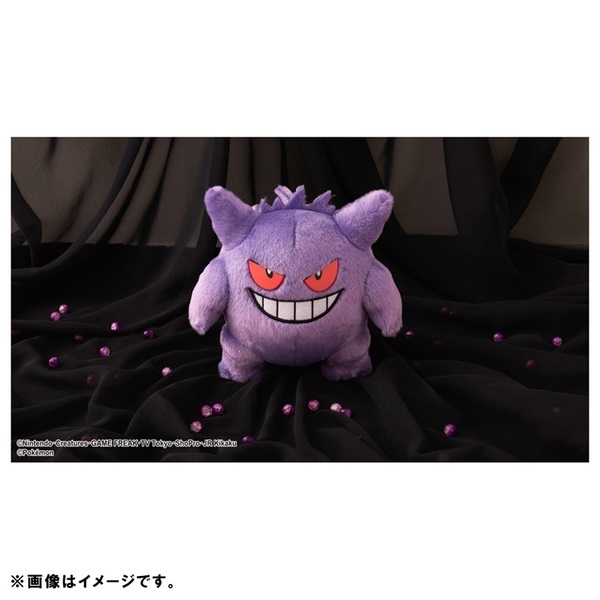 ポケットモンスター ポケモン/キミにきめた！ポケモンゲットぬいぐるみ