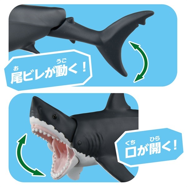 【ブランクのみ】ザウルス ボロン トップウォータープラッギン BC-62-3 予約 2026年6月27日発売 アニア AL－13 ホホジロザメ（水に浮くVer