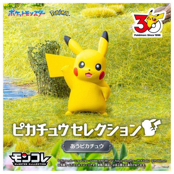 予約 2026年6月6日発売 ポケットモンスター ポケモン30周年記念