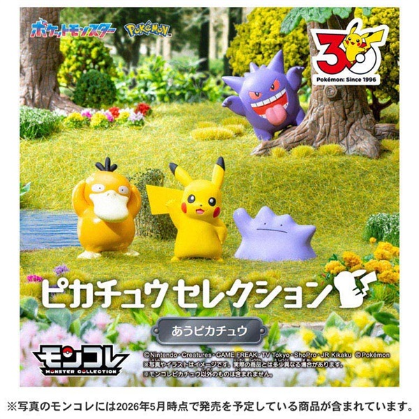 予約 2026年6月6日発売 ポケットモンスター ポケモン30周年記念
