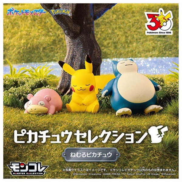 予約 2026年9月5日発売 ポケットモンスター ポケモン30周年記念