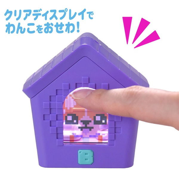 予約 2026年2月7日発売 わんだーはうす お一人さま3点限り