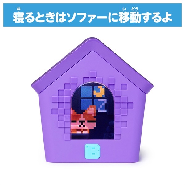 予約 2026年2月7日発売 わんだーはうす お一人さま3点限り