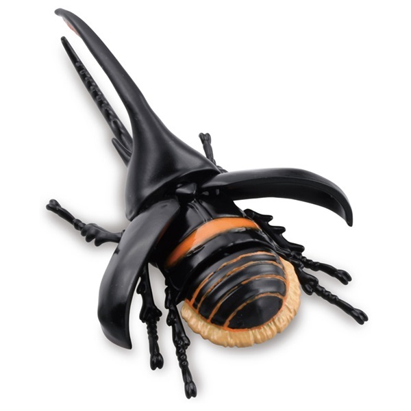 【お取引中】ネプチューンオオカブト　トリオ（♂♀♀） ネプチューンオオカブト ♂138mm ペア – HAWAIIAN BEETLE
