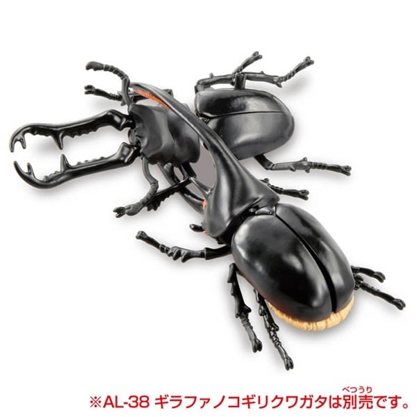 アニア AL－39 ネプチューンオオカブト お一人さま3点限り