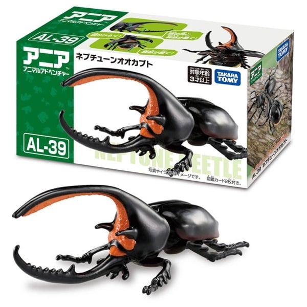 ネプチューンオオカブト　オス単品 ネプチューンオオカブト （コロンビア産） オス100〜105ミリペア