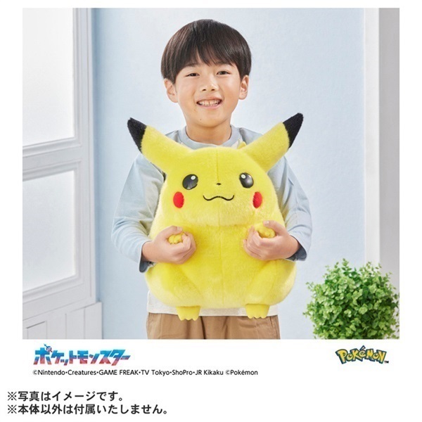 2026年6月16日以降順次お届け ポケモン30周年記念 おかえり
