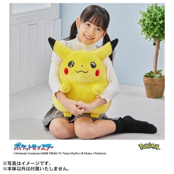 2026年6月16日以降順次お届け ポケモン30周年記念 おかえり