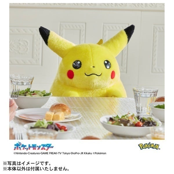 2026年6月16日以降順次お届け ポケモン30周年記念 おかえり